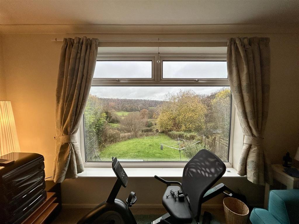View from Living Room