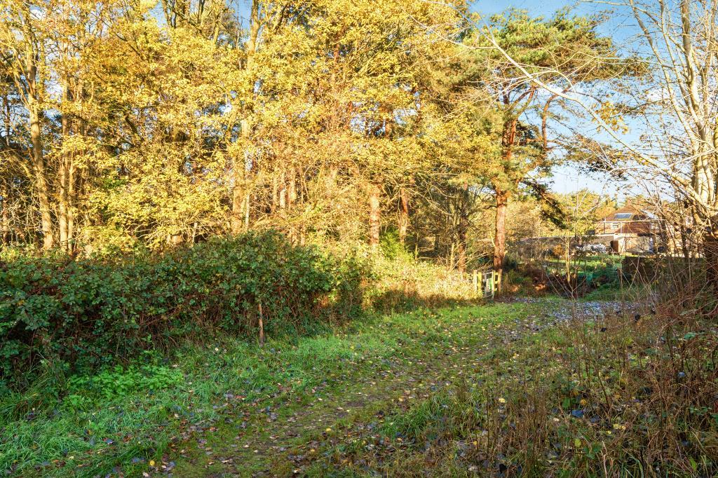 External Grounds
