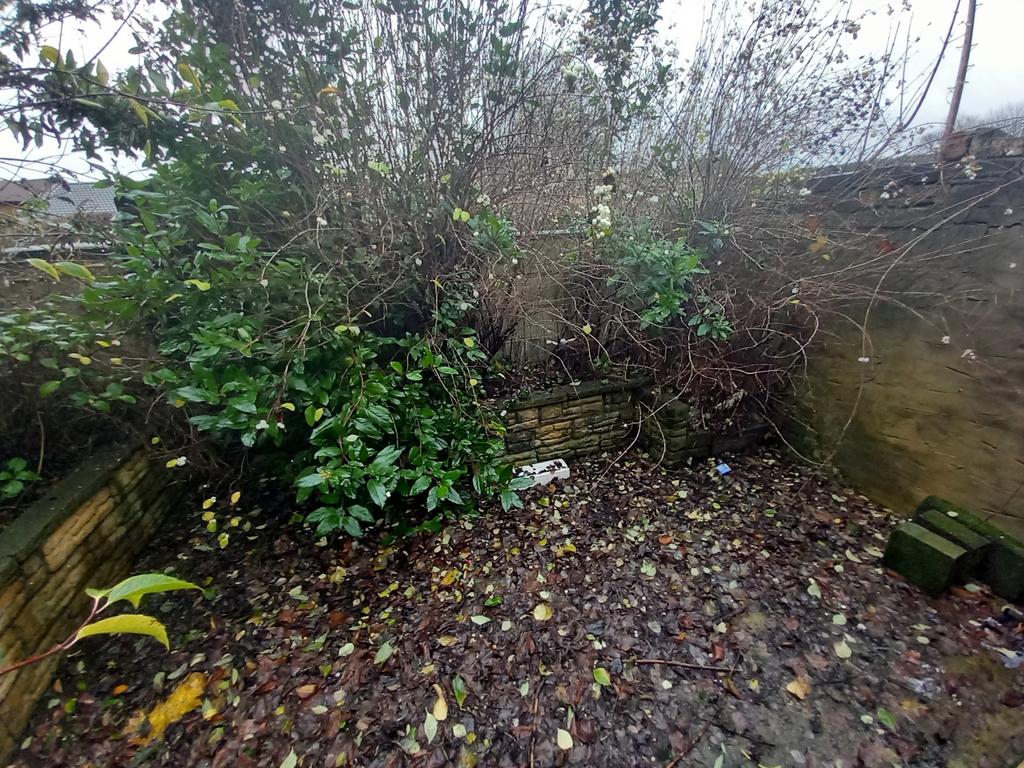 Rear yard