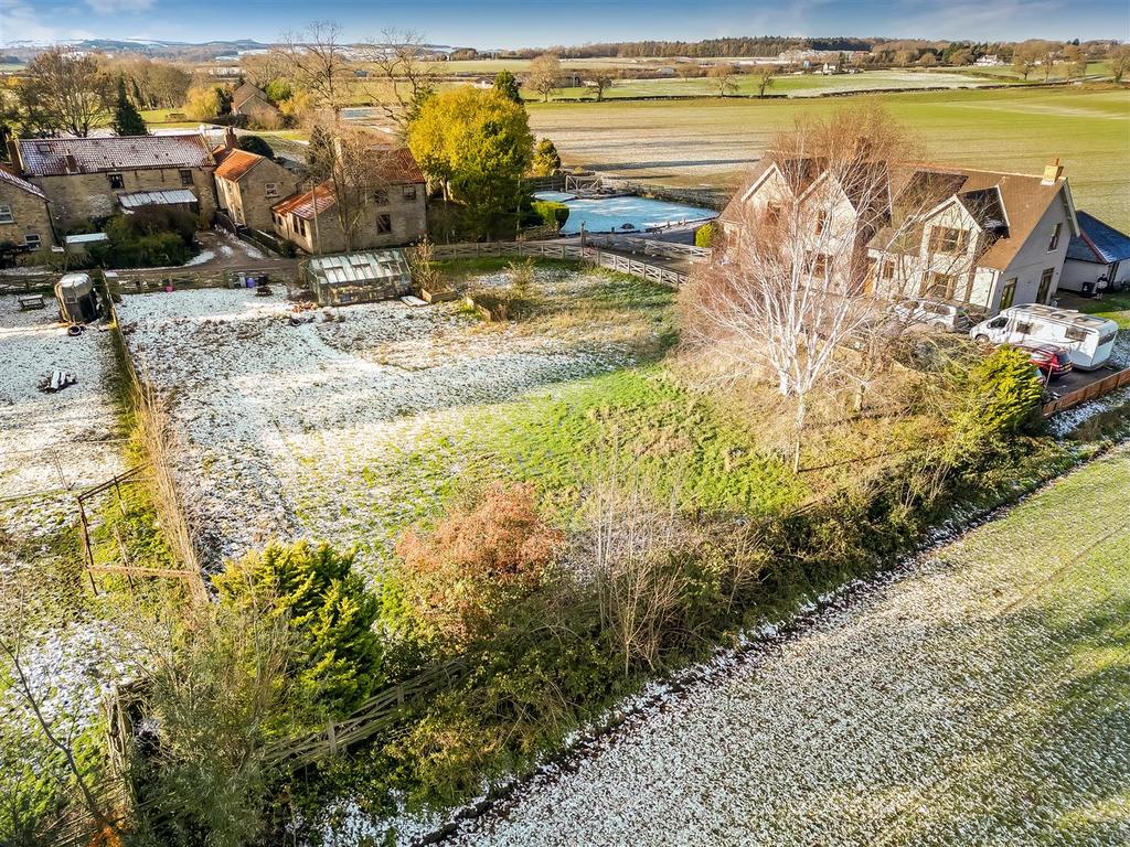 DJI 0876.jpg