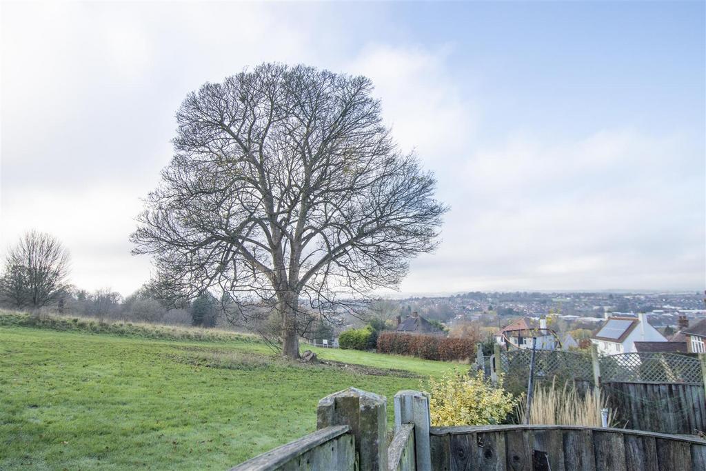 Views onto Tapton Park