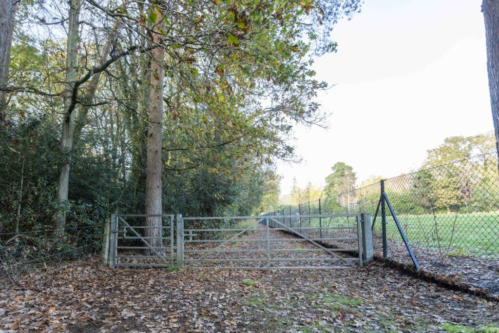 Potters Pool, Surrey GU16, Surrey
