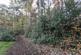 Potters Pool, Surrey GU16 photo 2