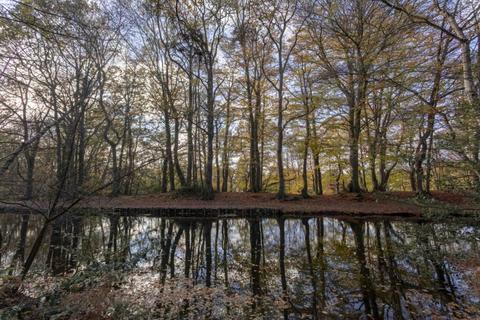 Land for sale, Potters Pool, Surrey GU16
