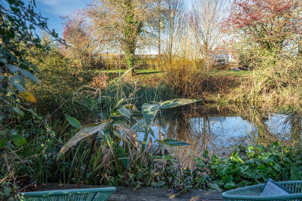 Moat