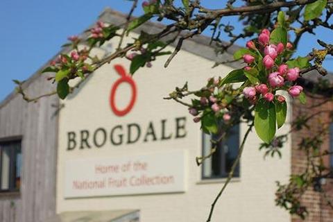 Office to rent - Office 7, Main Farm Office, Brogdale Farm