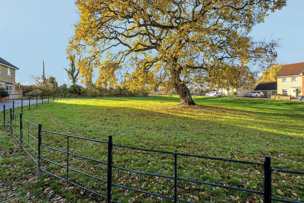 Community Green Space