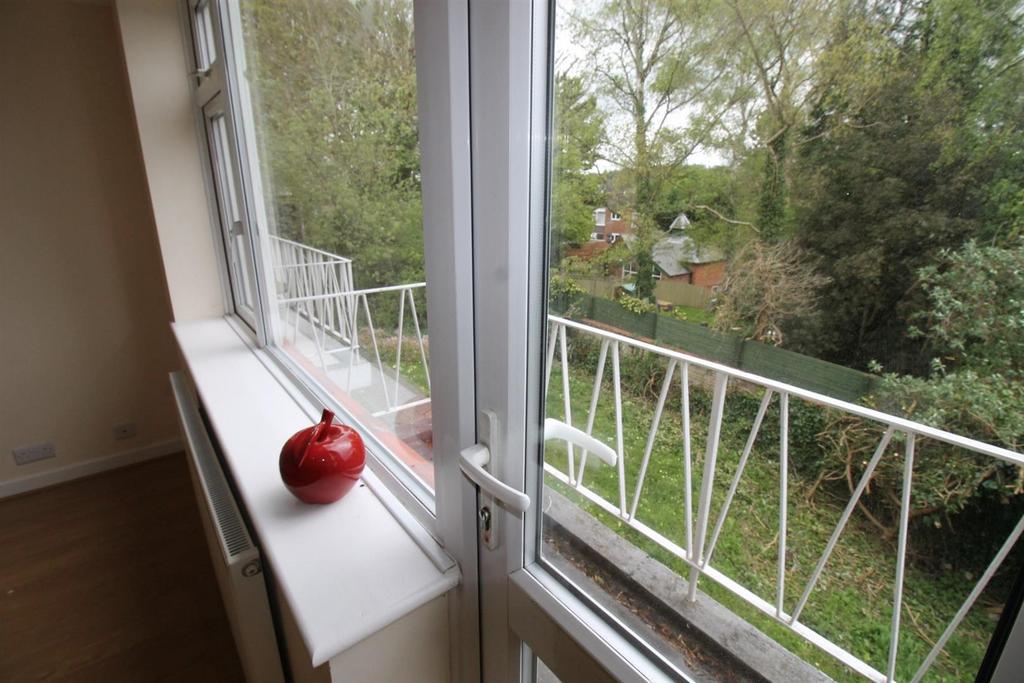 Window.jpg