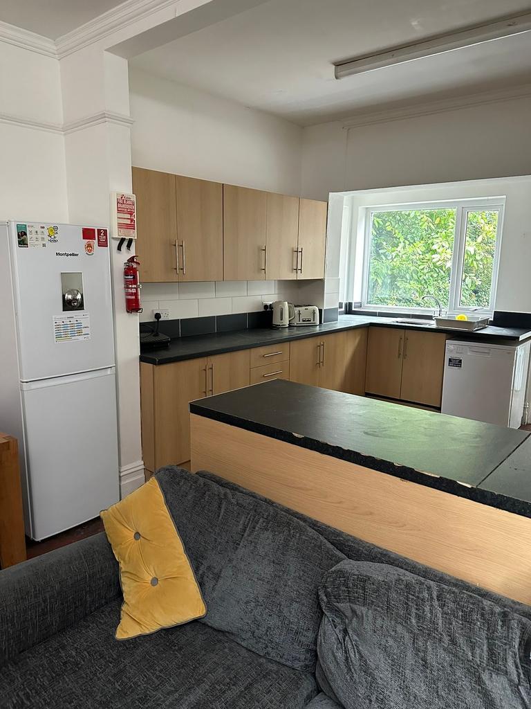 Modern kitchen with wooden cabinets, a large wi...