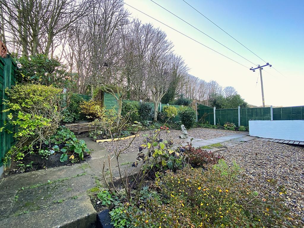 Rear garden 2