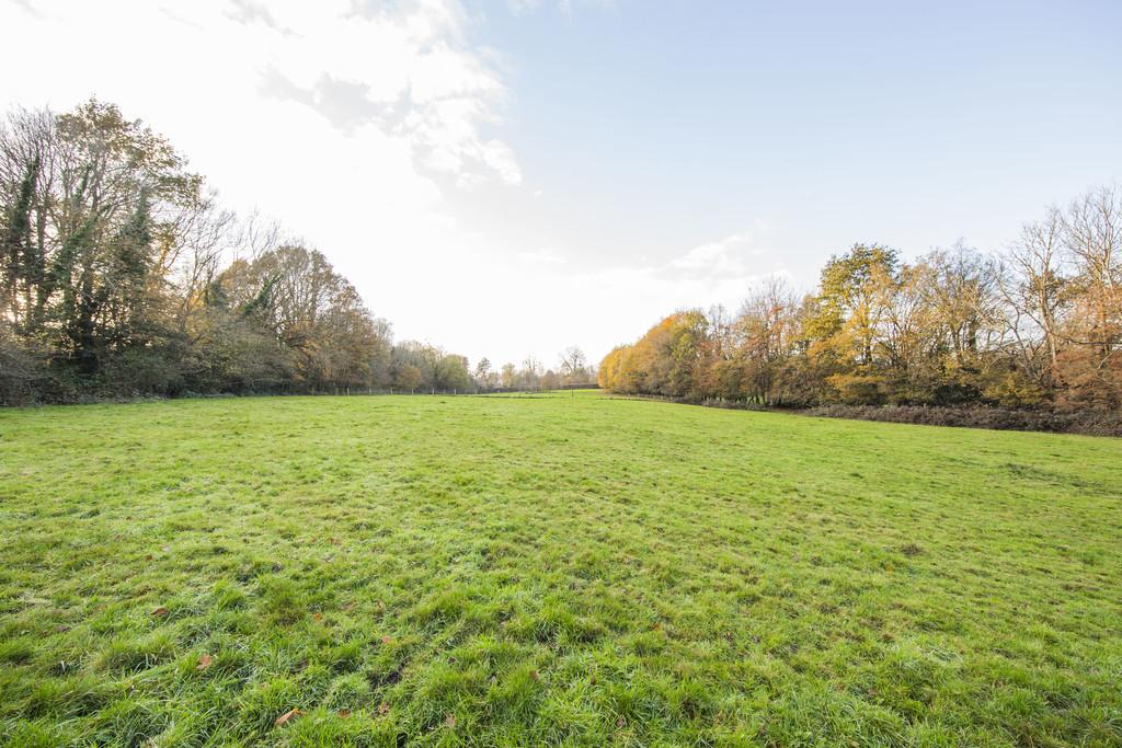 Meadow View