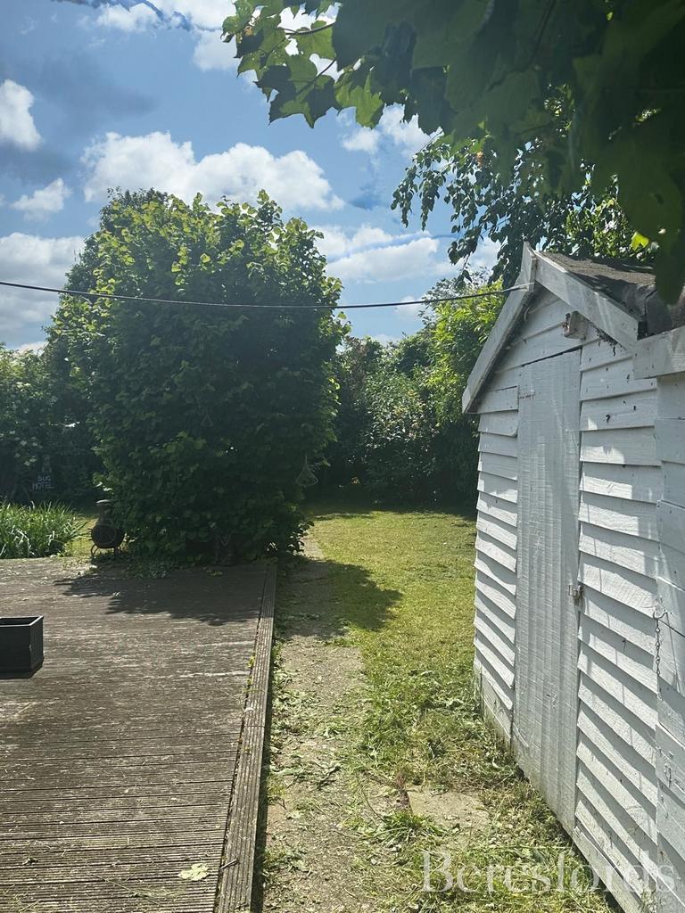 Summer Garden