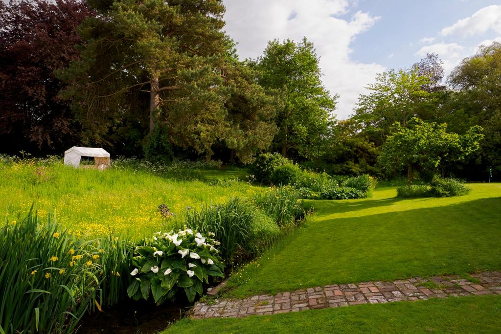 Grounds