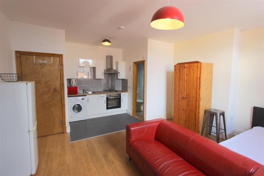 Lounge/Bedroom/Kitchen