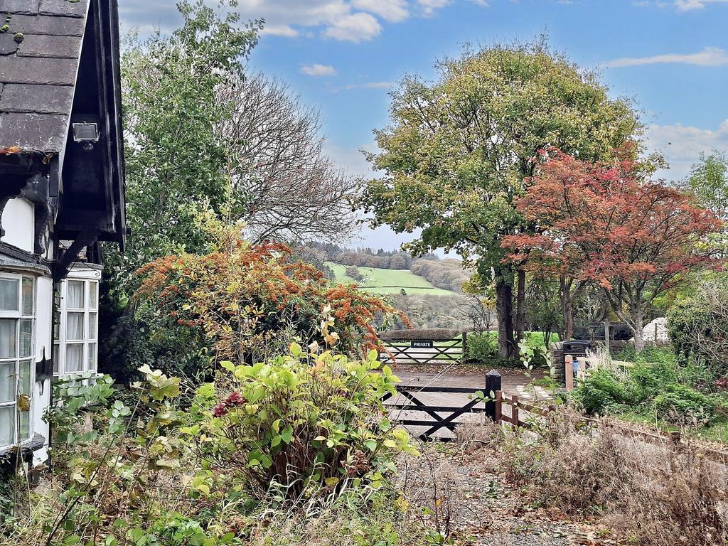 Views down Lane