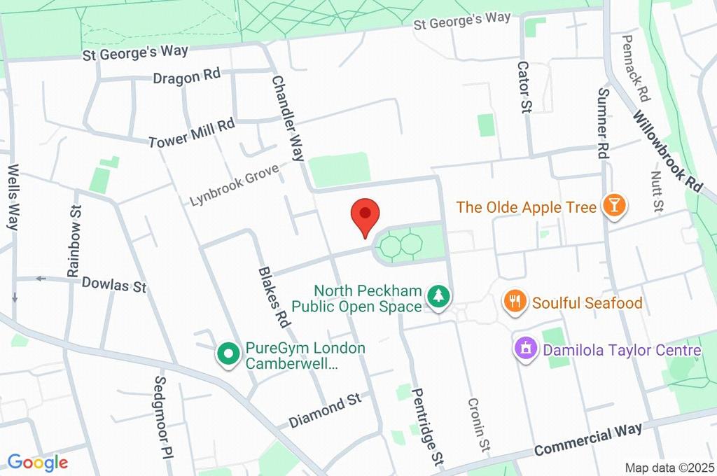 Google Maps Image