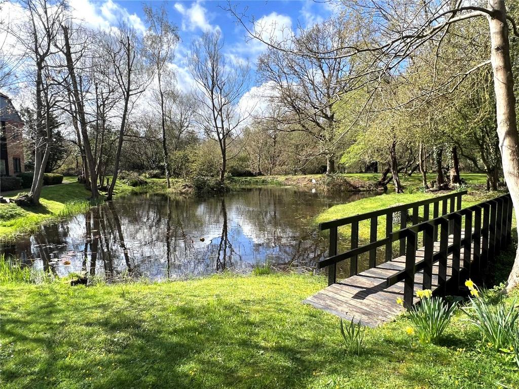 Pond