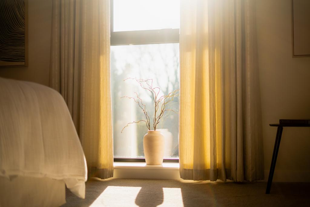 Window Light