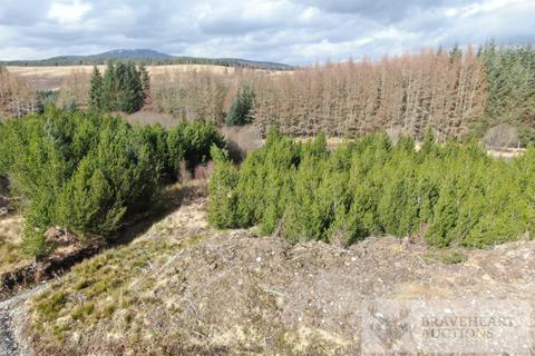 undefined, Ben Nevis Summit 11, Spean Bridge, Highlands