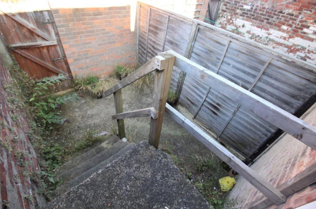 Back Yard.JPG