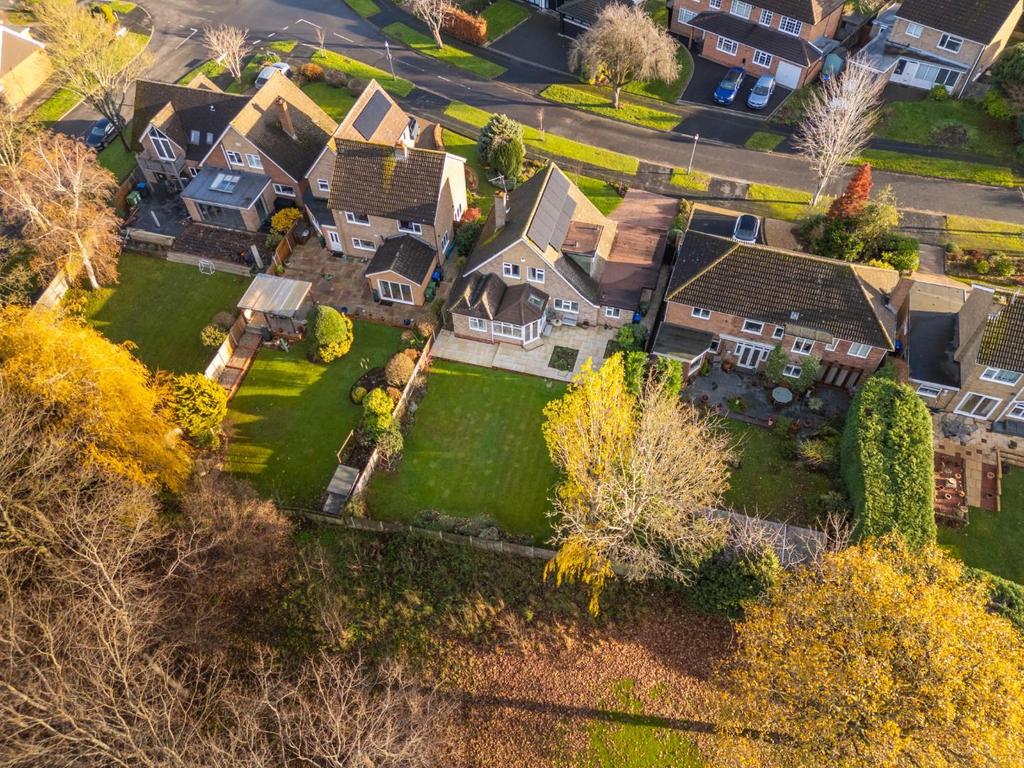 DJI 20251202132928 0852 D-Edit.jpg