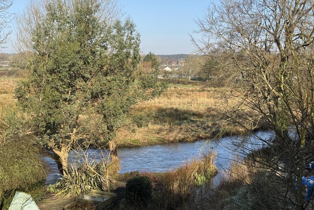 Views from Rear of Property
