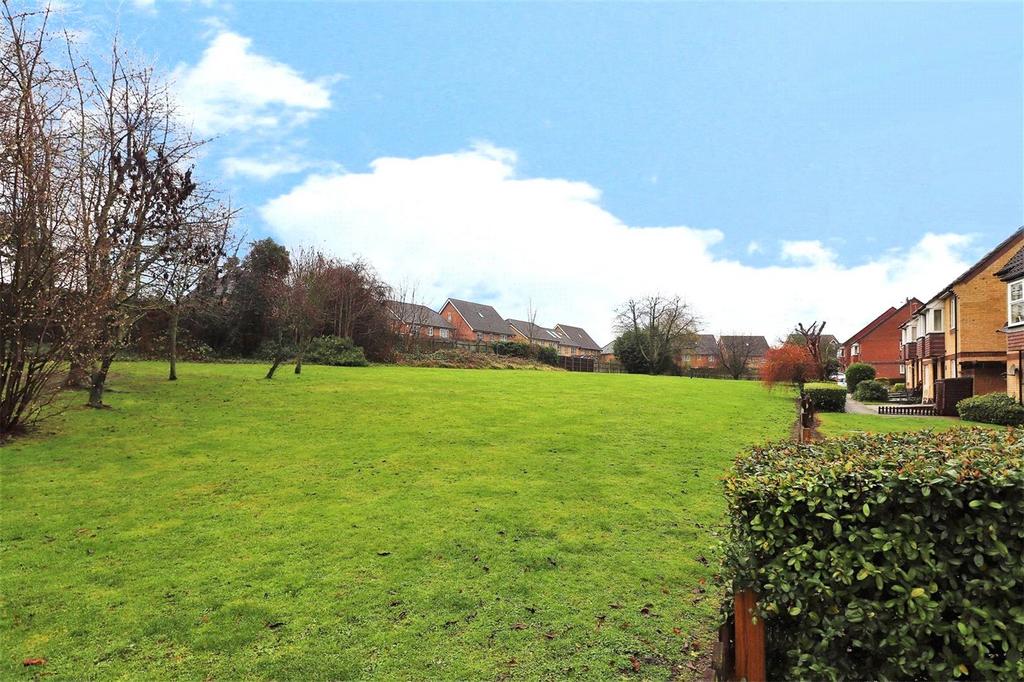 Grounds