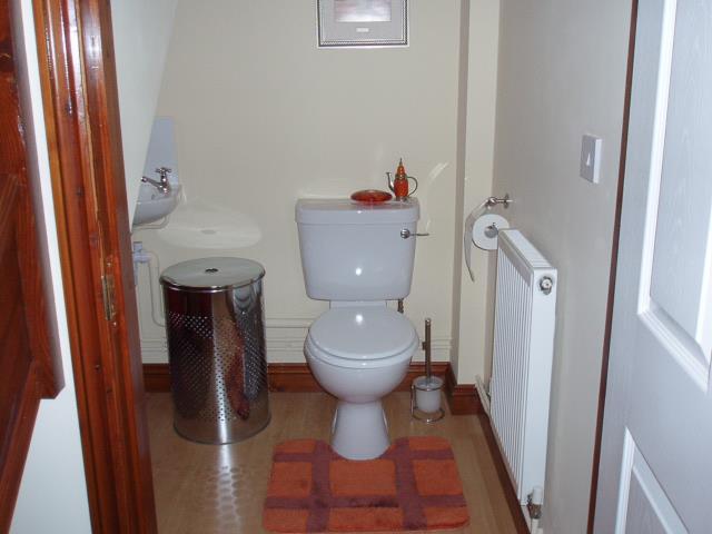 P2040052-2.jpg