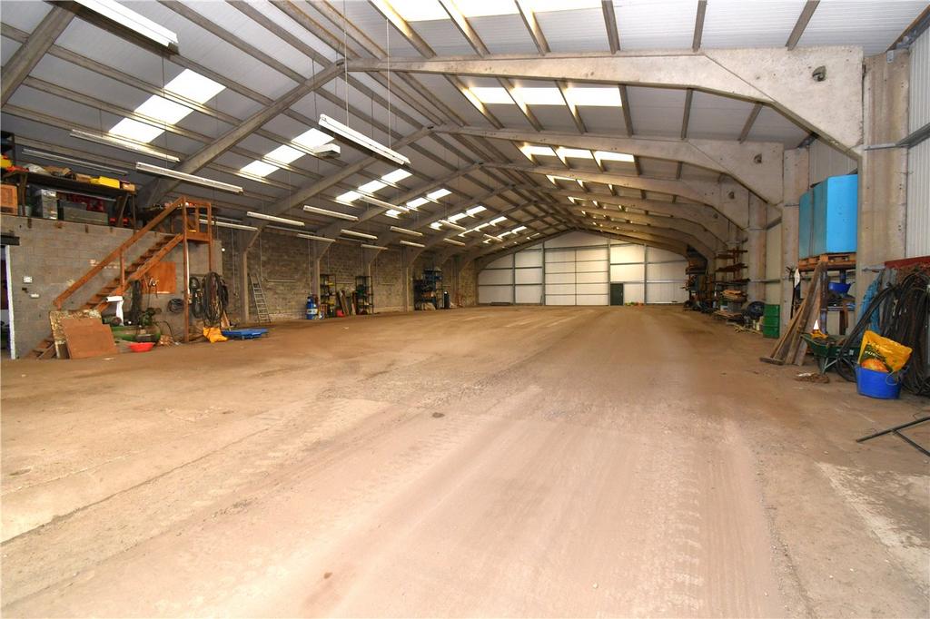 Shed