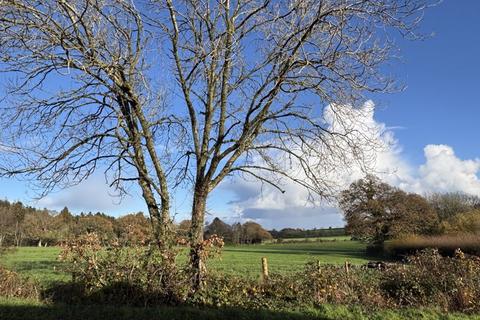 undefined, Shaggs Cottages, West Lulworth, Wareham