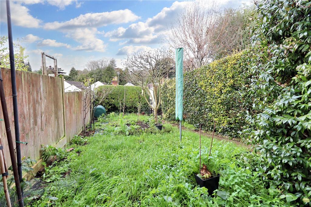Picture No. 10