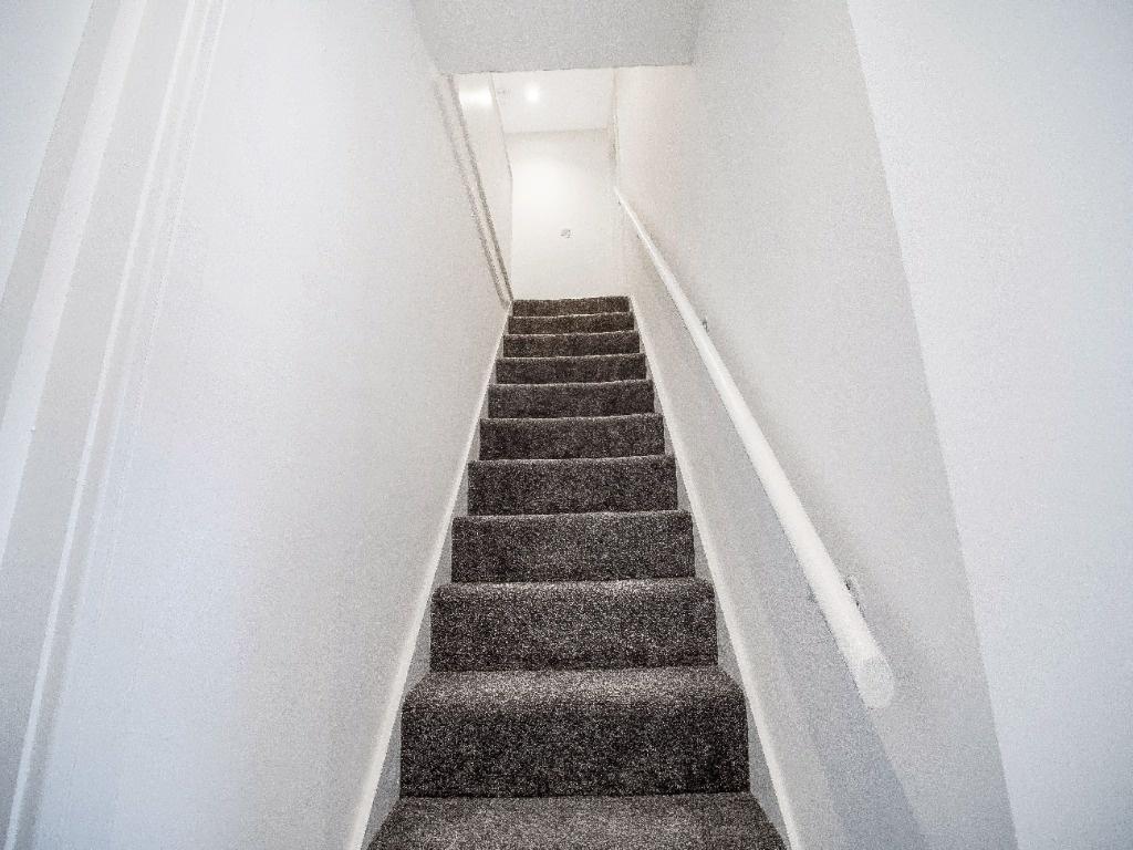 Carpeted internal staircase with a white handra...