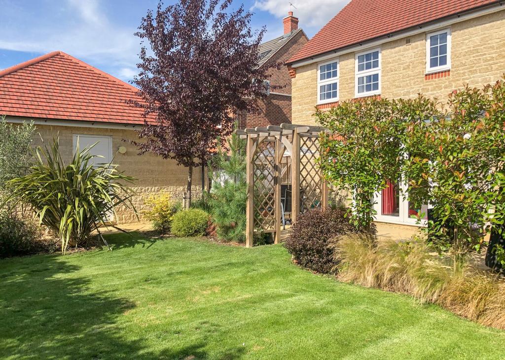 DC773 B2 D-1534-48 DF-B3 B8-CCA2 CC31 B320.jpg