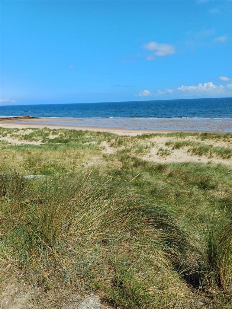 Beach View