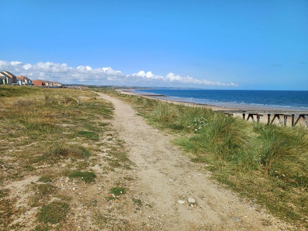 Beach View