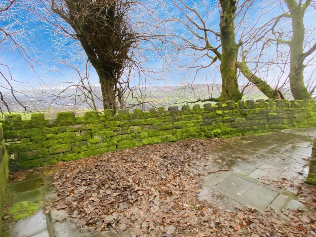 Rear Patio