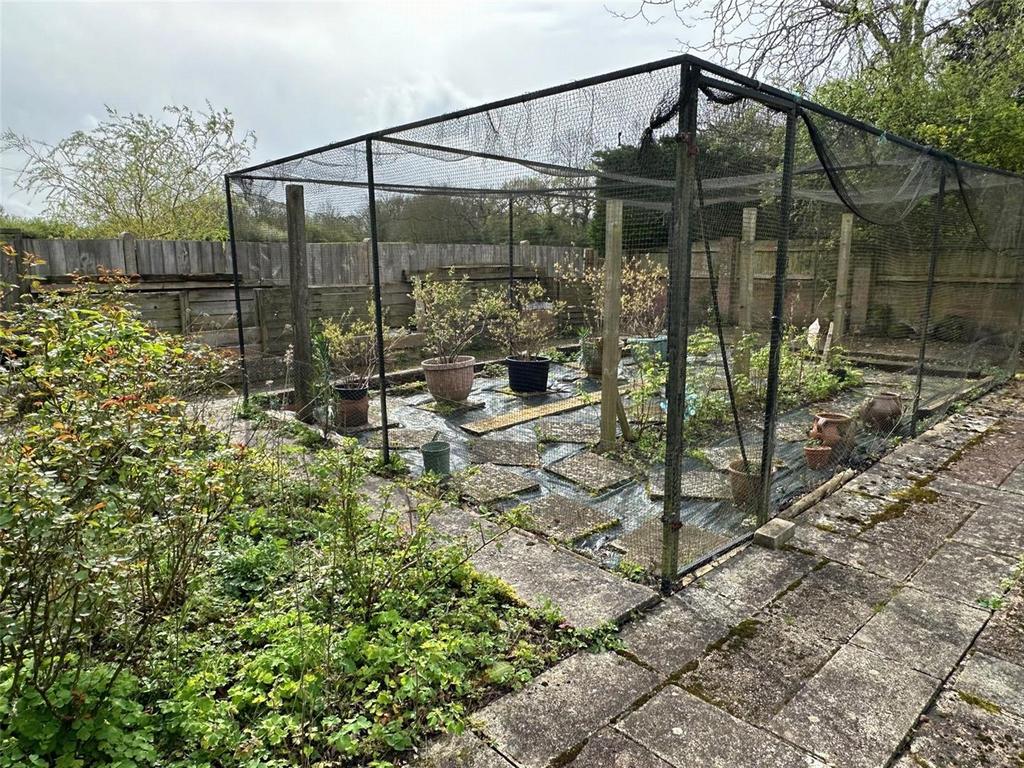 Vegetable Garden