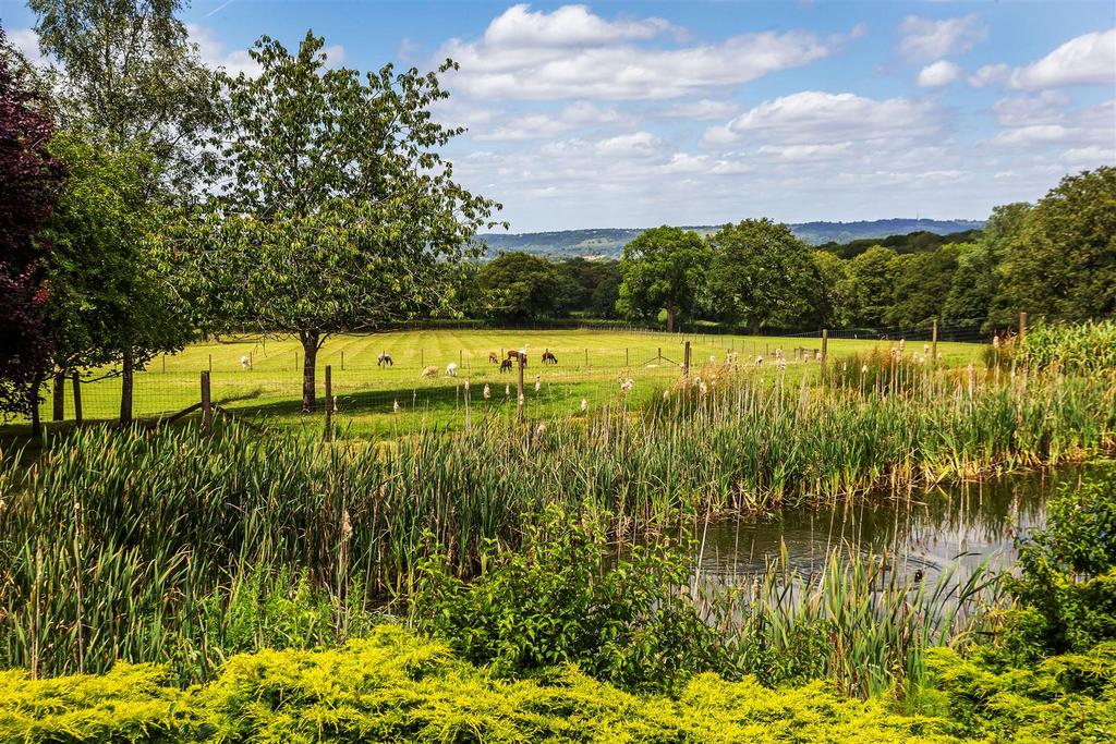 Pond