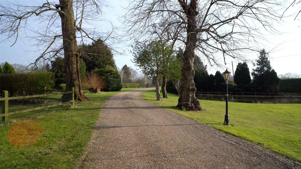 Driveway
