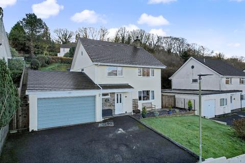 Leeze Park, Okehampton