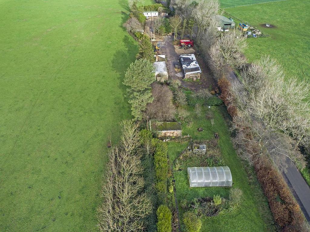 DJI 0873.jpg