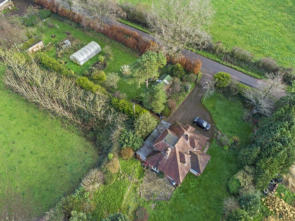 DJI 0871.jpg