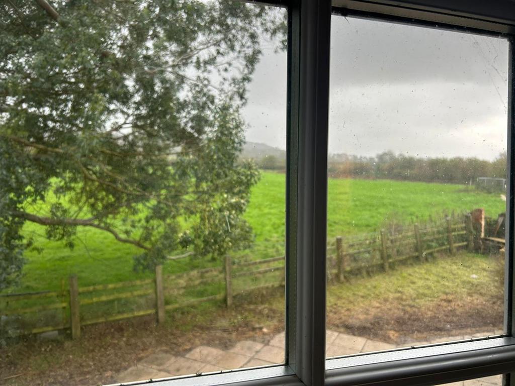 Whats App Image 2025-11-18 at 16.30.54.jpeg