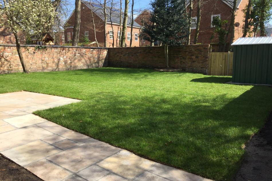 Back garden