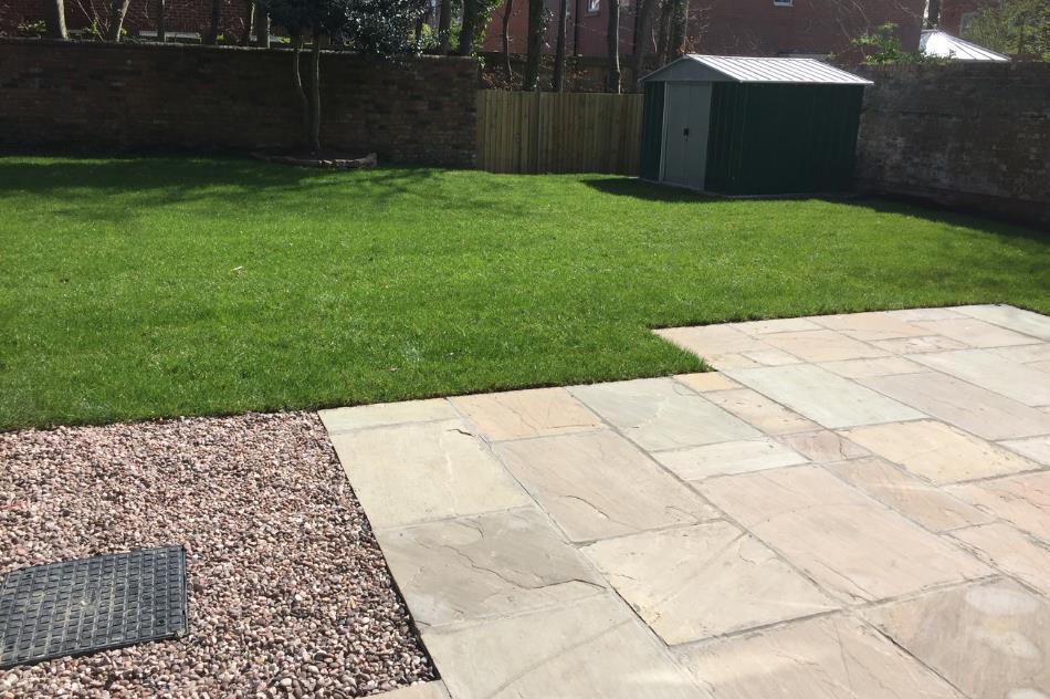 Back garden