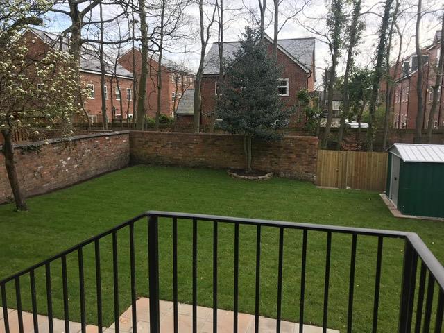 Back garden