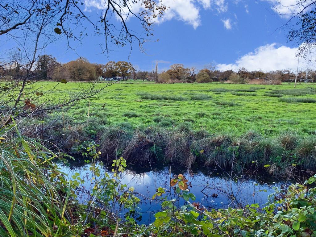 Farmland View