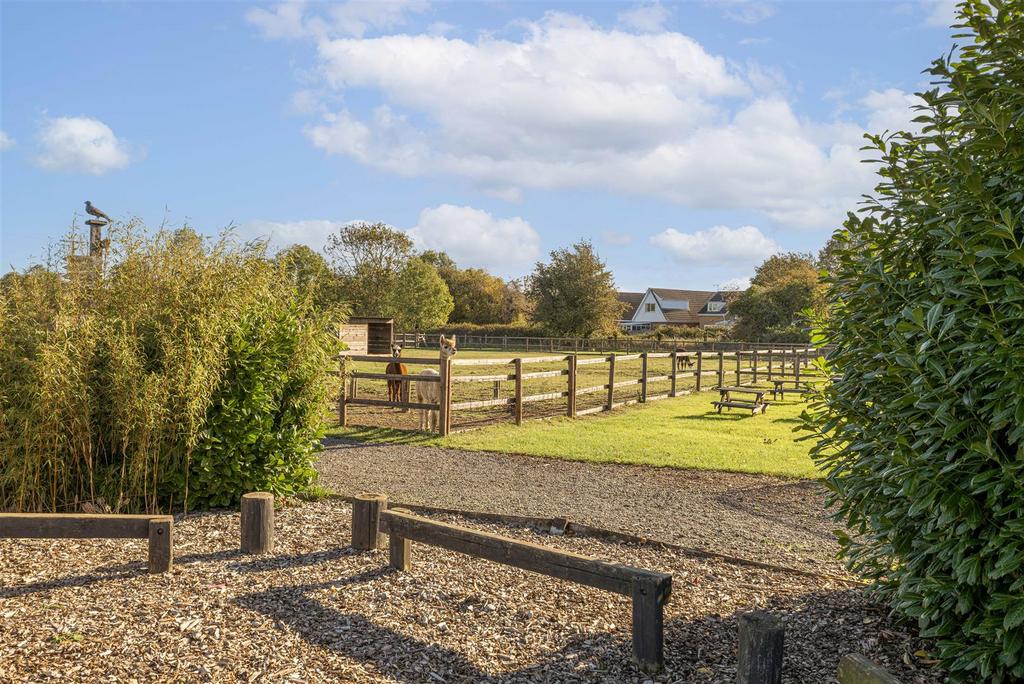 Little Jacks PH-30.jpg