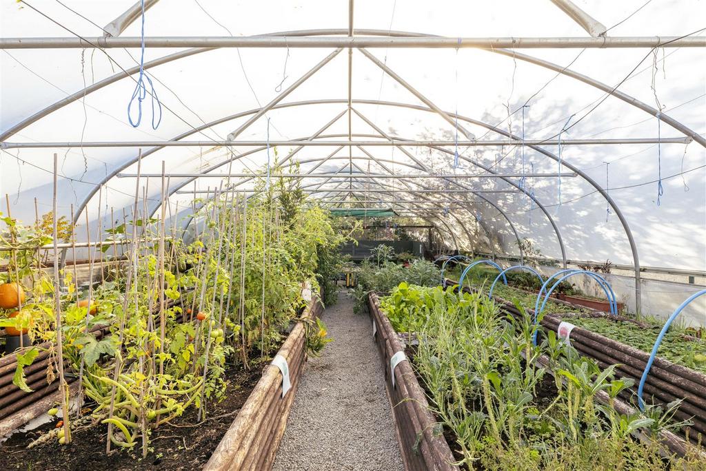 Little Jacks PH-70.jpg