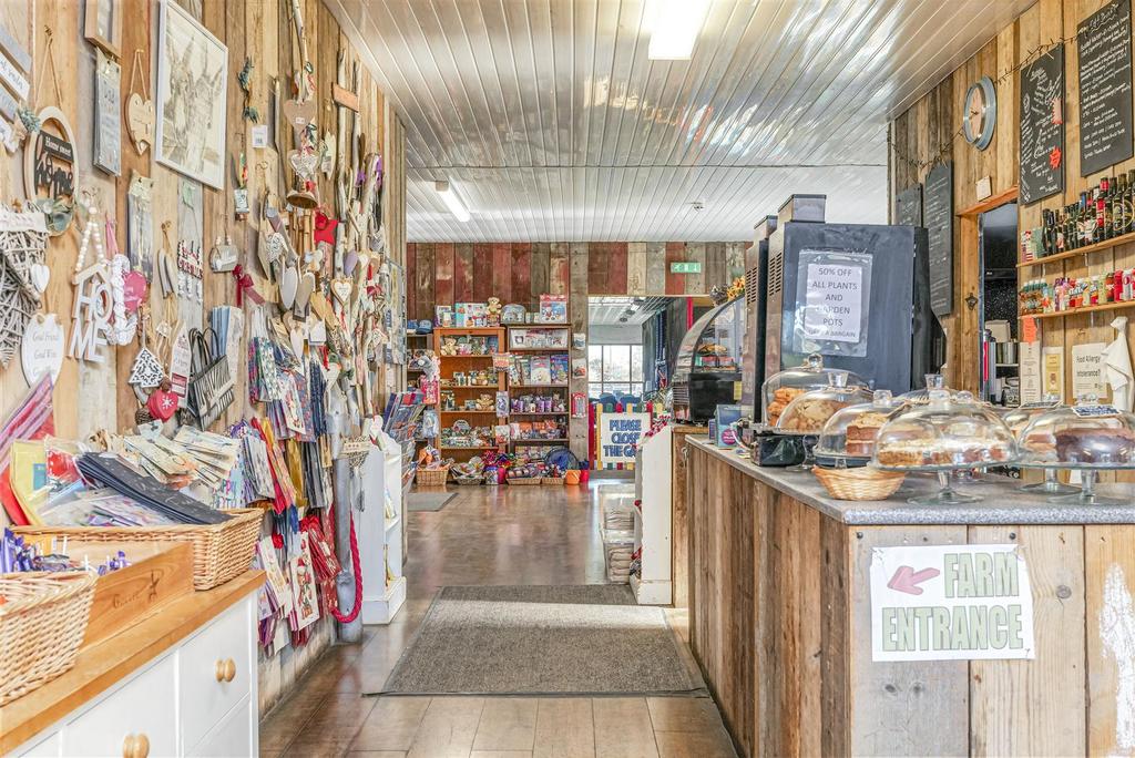 Little Jacks PH-42.jpg